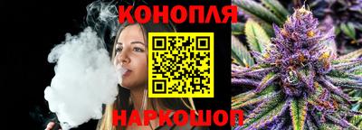 мяу мяу мука Кингисепп